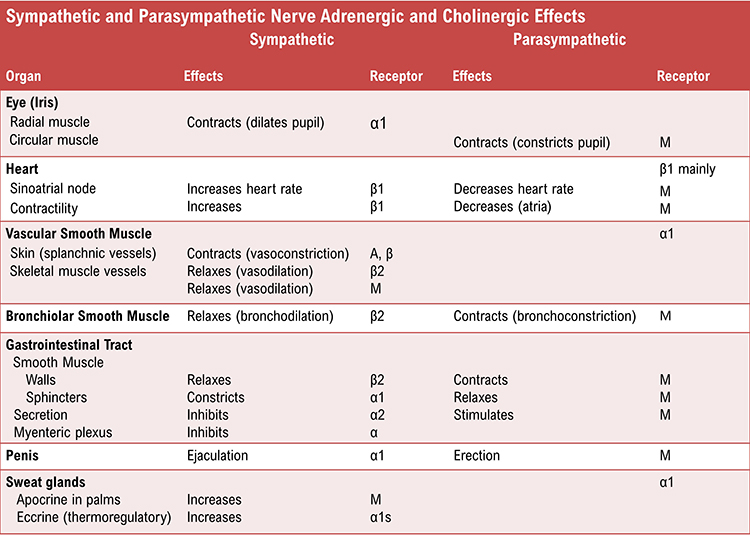 Adrenergic and cholinergic effects table